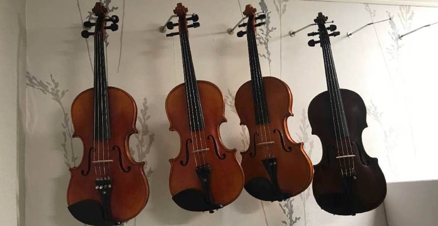 Viuluja myynnissä